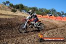 Champions Ride Day MotorX Broadford 23 11 2014 - SH8_0625