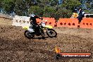 Champions Ride Day MotorX Broadford 23 11 2014 - SH8_0639