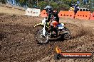 Champions Ride Day MotorX Broadford 23 11 2014 - SH8_0645