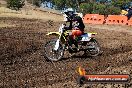 Champions Ride Day MotorX Broadford 23 11 2014 - SH8_0646