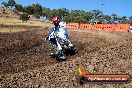Champions Ride Day MotorX Broadford 23 11 2014 - SH8_0664