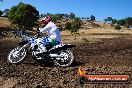 Champions Ride Day MotorX Broadford 23 11 2014 - SH8_0668