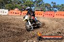 Champions Ride Day MotorX Broadford 23 11 2014 - SH8_0676