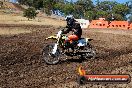 Champions Ride Day MotorX Broadford 23 11 2014 - SH8_0678