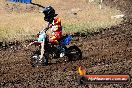 Champions Ride Day MotorX Broadford 23 11 2014 - SH8_0722