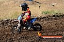 Champions Ride Day MotorX Broadford 23 11 2014 - SH8_0723