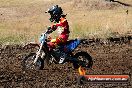 Champions Ride Day MotorX Broadford 23 11 2014 - SH8_0724