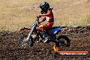 Champions Ride Day MotorX Broadford 23 11 2014 - SH8_0725