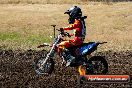 Champions Ride Day MotorX Broadford 23 11 2014 - SH8_0727