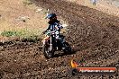 Champions Ride Day MotorX Broadford 23 11 2014 - SH8_0729