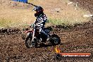Champions Ride Day MotorX Broadford 23 11 2014 - SH8_0731
