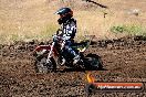 Champions Ride Day MotorX Broadford 23 11 2014 - SH8_0732