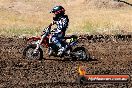 Champions Ride Day MotorX Broadford 23 11 2014 - SH8_0733