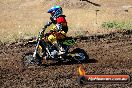 Champions Ride Day MotorX Broadford 23 11 2014 - SH8_0737