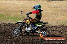Champions Ride Day MotorX Broadford 23 11 2014 - SH8_0740