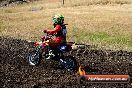 Champions Ride Day MotorX Broadford 23 11 2014 - SH8_0742
