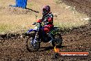 Champions Ride Day MotorX Broadford 23 11 2014 - SH8_0746
