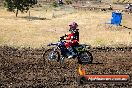 Champions Ride Day MotorX Broadford 23 11 2014 - SH8_0748