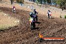 Champions Ride Day MotorX Broadford 23 11 2014 - SH8_0759