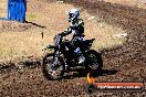 Champions Ride Day MotorX Broadford 23 11 2014 - SH8_0766