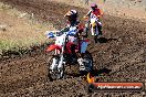 Champions Ride Day MotorX Broadford 23 11 2014 - SH8_0768