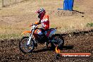 Champions Ride Day MotorX Broadford 23 11 2014 - SH8_0776