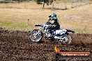 Champions Ride Day MotorX Broadford 23 11 2014 - SH8_0791