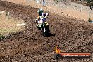 Champions Ride Day MotorX Broadford 23 11 2014 - SH8_0796