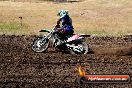 Champions Ride Day MotorX Broadford 23 11 2014 - SH8_0802