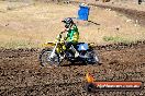Champions Ride Day MotorX Broadford 23 11 2014 - SH8_0809
