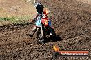 Champions Ride Day MotorX Broadford 23 11 2014 - SH8_0822