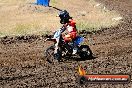 Champions Ride Day MotorX Broadford 23 11 2014 - SH8_0824
