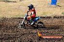 Champions Ride Day MotorX Broadford 23 11 2014 - SH8_0826