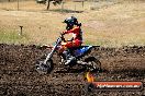 Champions Ride Day MotorX Broadford 23 11 2014 - SH8_0827
