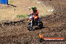 Champions Ride Day MotorX Broadford 23 11 2014 - SH8_0830