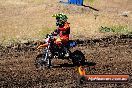 Champions Ride Day MotorX Broadford 23 11 2014 - SH8_0833
