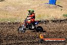 Champions Ride Day MotorX Broadford 23 11 2014 - SH8_0834