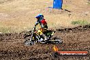 Champions Ride Day MotorX Broadford 23 11 2014 - SH8_0838