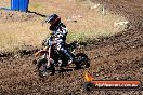 Champions Ride Day MotorX Broadford 23 11 2014 - SH8_0843