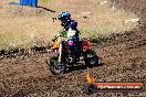 Champions Ride Day MotorX Broadford 23 11 2014 - SH8_0867