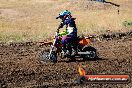 Champions Ride Day MotorX Broadford 23 11 2014 - SH8_0869