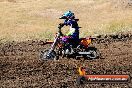 Champions Ride Day MotorX Broadford 23 11 2014 - SH8_0870