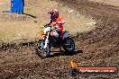 Champions Ride Day MotorX Broadford 23 11 2014 - SH8_0875
