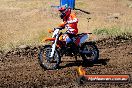 Champions Ride Day MotorX Broadford 23 11 2014 - SH8_0876