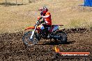 Champions Ride Day MotorX Broadford 23 11 2014 - SH8_0878
