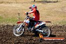 Champions Ride Day MotorX Broadford 23 11 2014 - SH8_0880