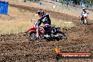 Champions Ride Day MotorX Broadford 23 11 2014 - SH8_0883