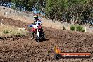 Champions Ride Day MotorX Broadford 23 11 2014 - SH8_0885