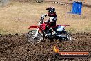 Champions Ride Day MotorX Broadford 23 11 2014 - SH8_0890