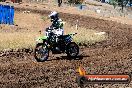 Champions Ride Day MotorX Broadford 23 11 2014 - SH8_0896